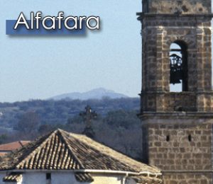 Alfafara