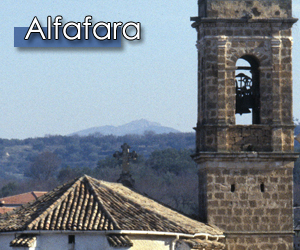Alfafara