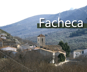 Fageca