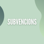 Resolució de subvencions Serveis Socials.